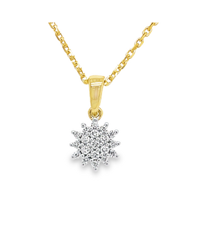 WRSM WRSM GHE0970, Hanger briljant