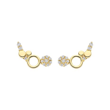 Blush Blush 7377YZI, Oorstekers 14 karaats geelgoud