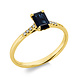 Langerak Diamonds Langerak Diamonds 1HL98G454-1, Ring met saffier en diamant