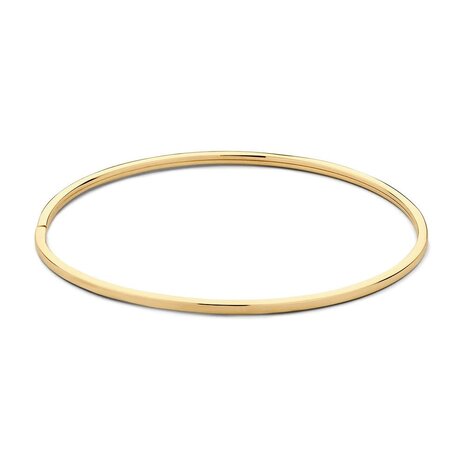 Excellent Jewelry Excellent AC107794, Bangle 14 karaats geelgoud