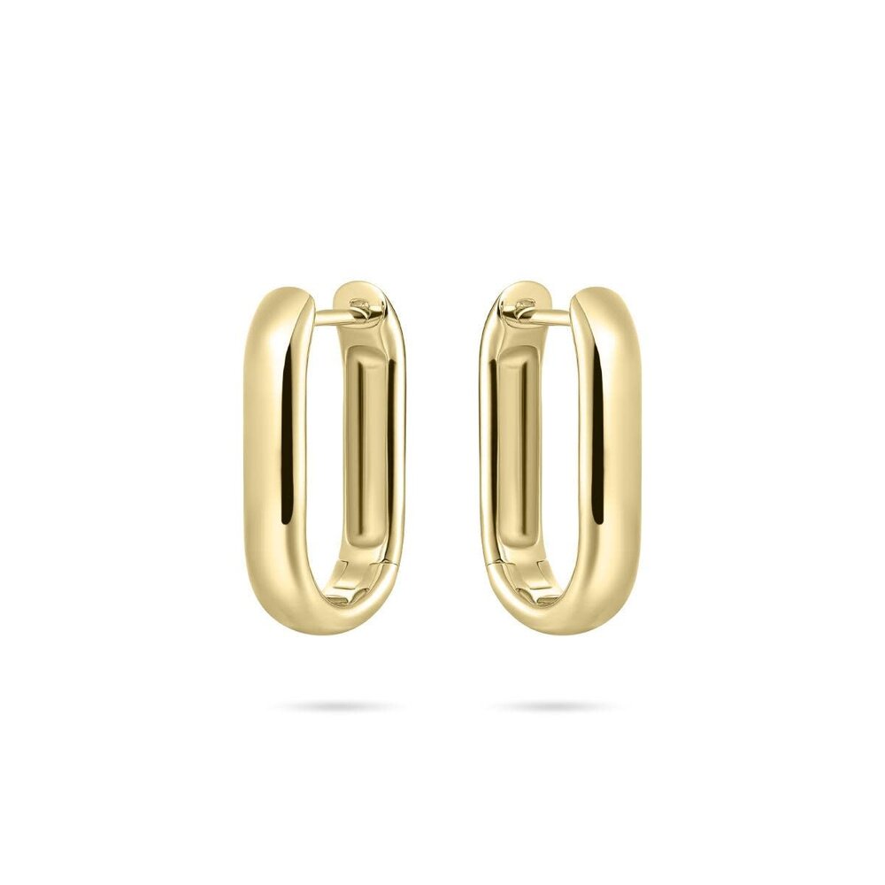 Langerak Essentials Langerak Essentials KCQ4/20Y, Creolen Goldplated