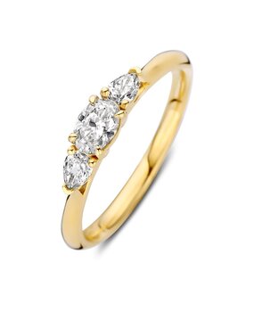 Excellent Jewelry Excellent Jewelry RK118271-54, Ring 14 karaats geelgoud