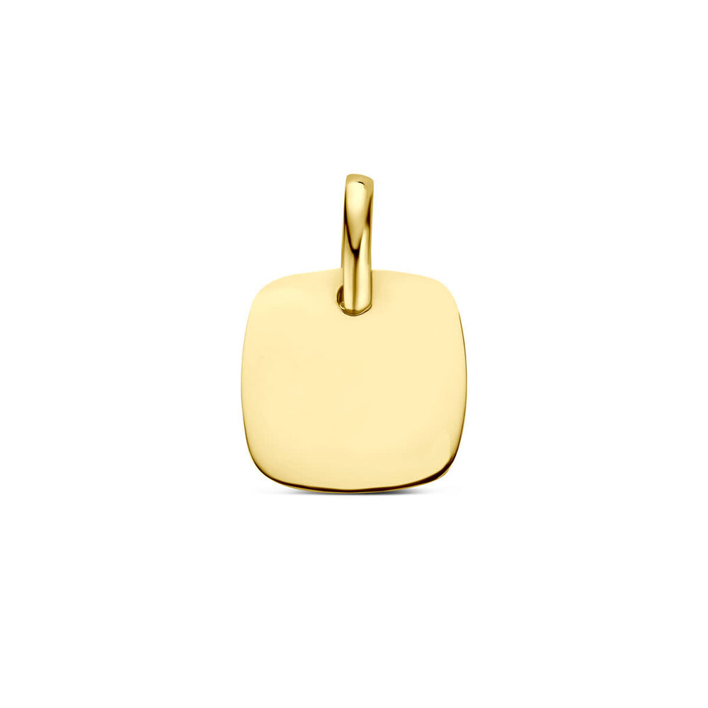 Langerak Essentials Langerak Essentials  4035720, Graveerhanger 14 karaats geelgoud