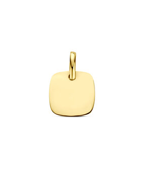 Langerak Essentials Langerak Essentials  4035720, Graveerhanger 14 karaats geelgoud