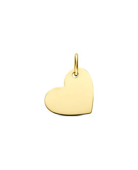 Langerak Essentials Langerak Essentials 4035722, Graveerhanger 14 karaats geelgoud