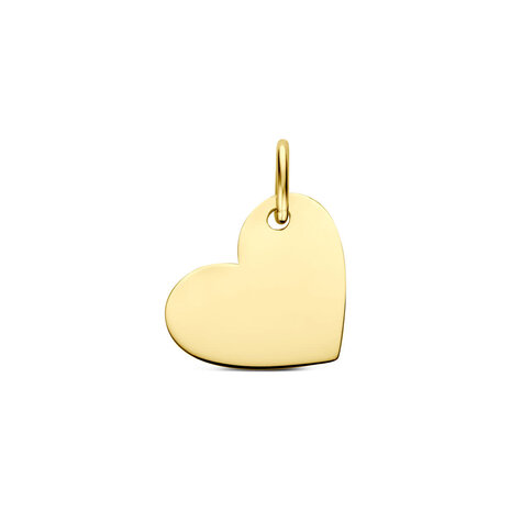 Langerak Essentials Langerak Essentials 4035722, Graveerhanger 14 karaats geelgoud