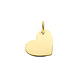 Langerak Essentials Langerak Essentials 4035722, Graveerhanger 14 karaats geelgoud