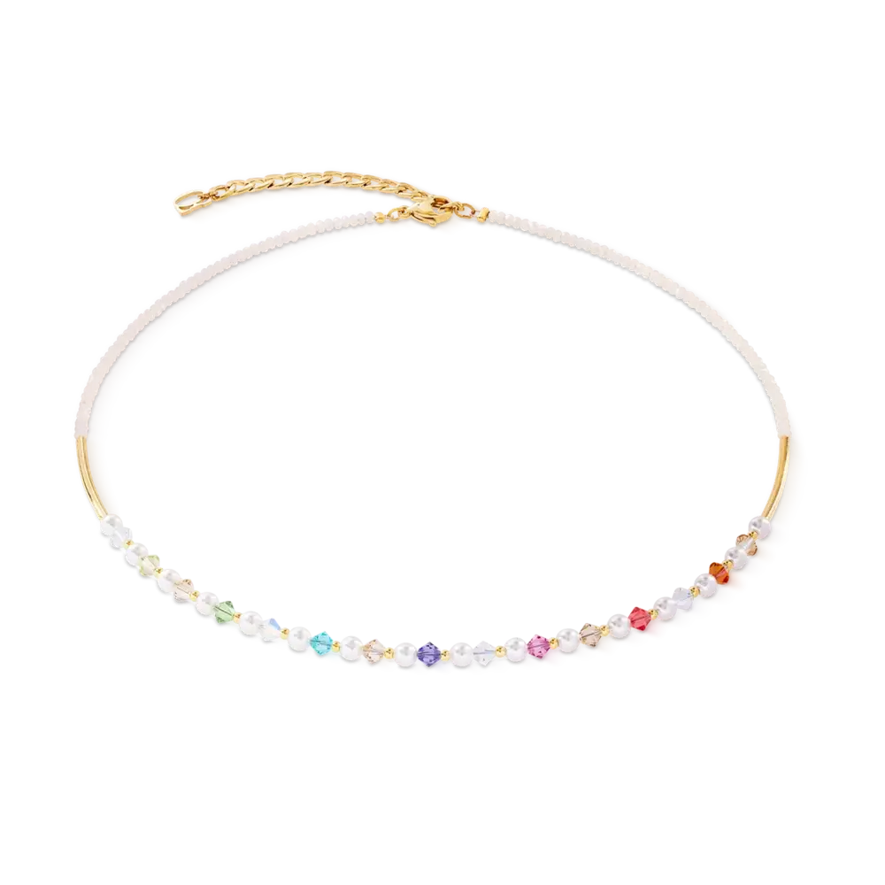 Coeur de Lion Coeur de Lion  6022/10-1500, Collier staal