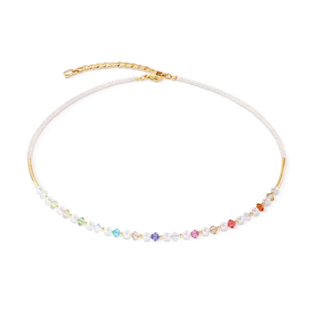 Coeur de Lion Coeur de Lion  6022/10-1500, Collier staal