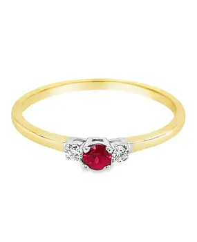 WRSM WRSM GRE1528-58, Ring 14 karaats geelgoud