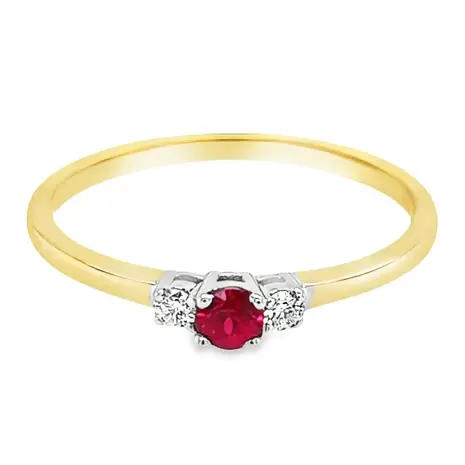 WRSM WRSM GRE1528-58, Ring 14 karaats geelgoud