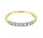 WRSM GRE2513-55, Ring briljant