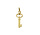Langerak Essentials 4001701, Hanger sleutel 14 karaats goud