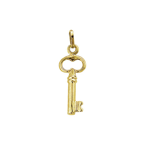Langerak Essentials Langerak Essentials 4001701, Hanger sleutel 14 karaats goud