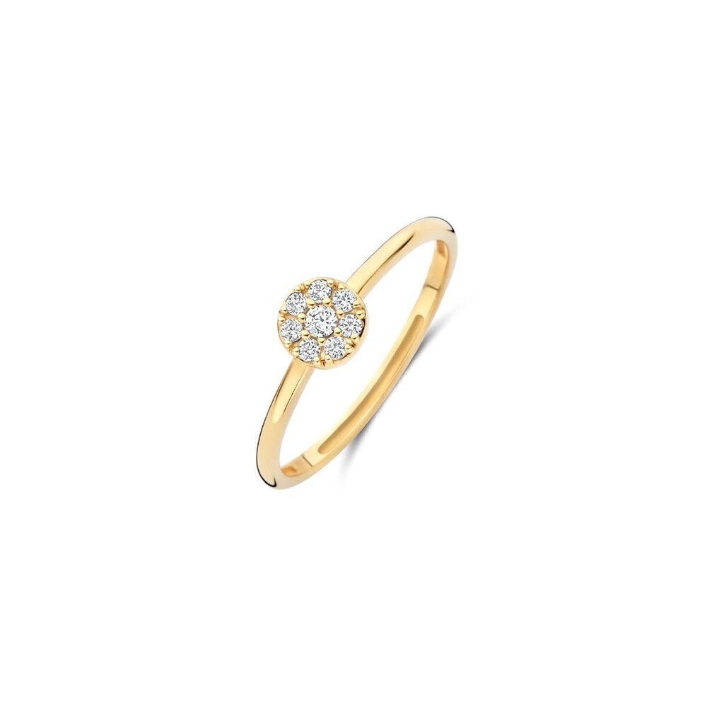 Blush Blush 1277YZI/54, Ring 14 karaats geelgoud