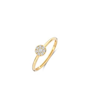 Blush Blush 1277YZI/54, Ring 14 karaats geelgoud
