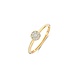 Blush Blush 1277YZI/54, Ring 14 karaats geelgoud