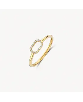 Blush Blush 1289YZI/54, Ring 14 krt geelgoud