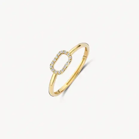 Blush Blush 1289YZI/54, Ring 14 krt geelgoud