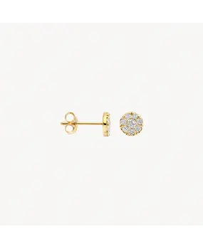 Blush Blush 7396YZI, Oorstekers 14k geelgoud met zirkonia