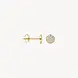 Blush Blush 7396YZI, Oorstekers 14k geelgoud met zirkonia