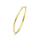Langerak Essentials Langerak Essentials 50.00377, Bangle zilgold