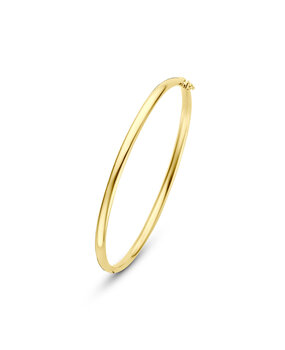 Langerak Essentials Langerak Essentials 50.00378, Bangle zilgold