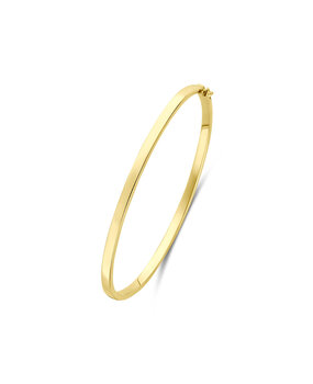 Langerak Essentials Langerak Essentials 50.00388, Bangle zilgold