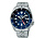 Seiko SSK003K1, Horloge Staal