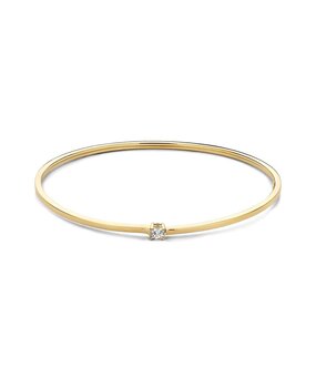 Excellent Jewelry Excellent AC127601, Bangle 14krt geelgoud