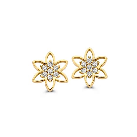Excellent Jewelry Excellent Jewelry OE127481, Oorstekers 14 krt geelgoud
