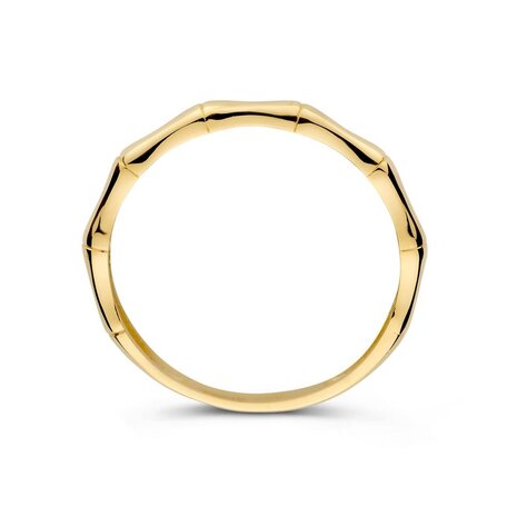 Excellent Jewelry Excellent Jewelry RE108235-56, Ring 14 krt geelgoud