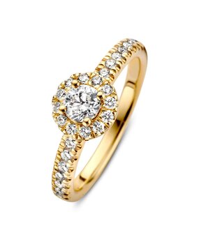 Excellent Jewelry Excellent RG117221-56, Ring fantasie briljant 14 krt geelgoud
