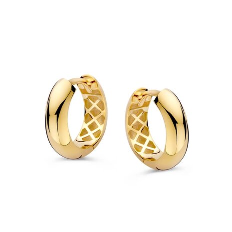 Excellent Jewelry Excellent OE108353, Creolen 14 krt geelgoud