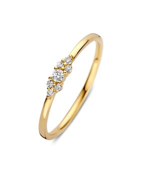 Excellent Jewelry Excellent RG118104-56, Ring 14 krt geelgoud