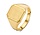 Excellent RE101162-60, Zegelring 14 krt geelgoud