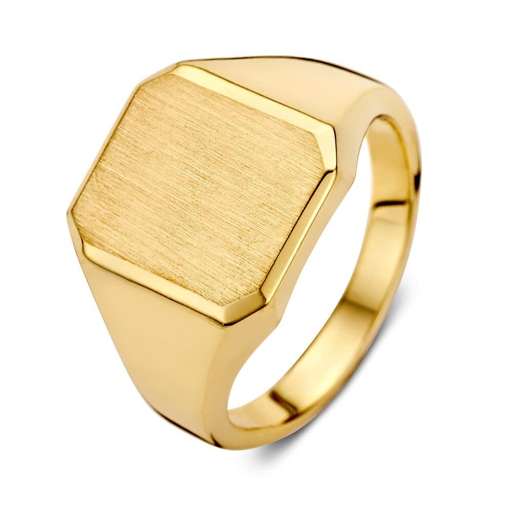 Excellent Jewelry Excellent RE101162-63, Zegelring 14 krt geelgoud