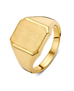 Excellent Jewelry Excellent RE101162-63, Zegelring 14 krt geelgoud