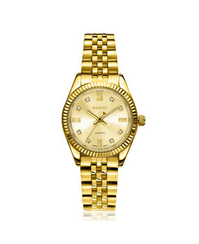 Zinzi Zinzi ZIW2710, Horloge staal