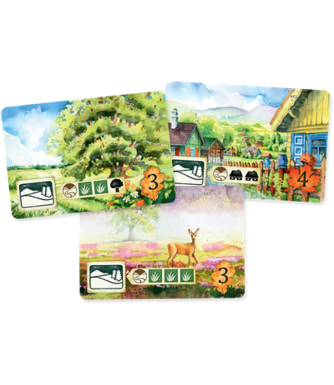 Meadow (NL)  - Board game