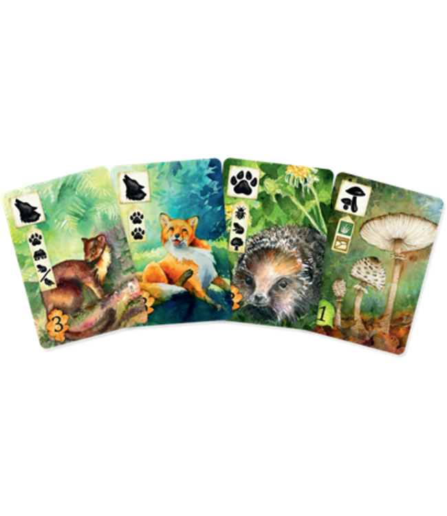 Meadow (ENG) - Board game