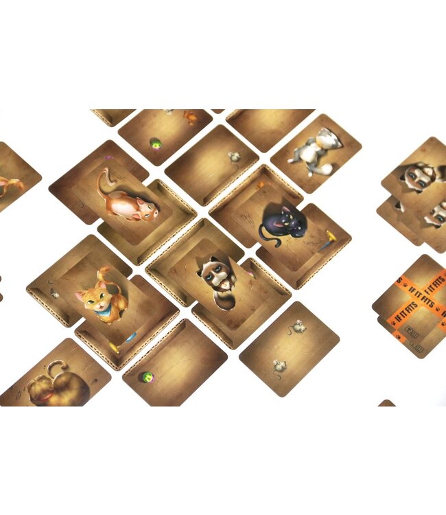 If It Fits (NL) - Kaartspel