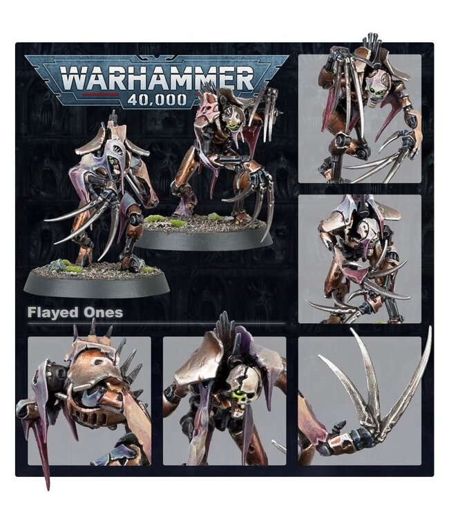 Warhammer 40,000 - Necrons: Flayed Ones