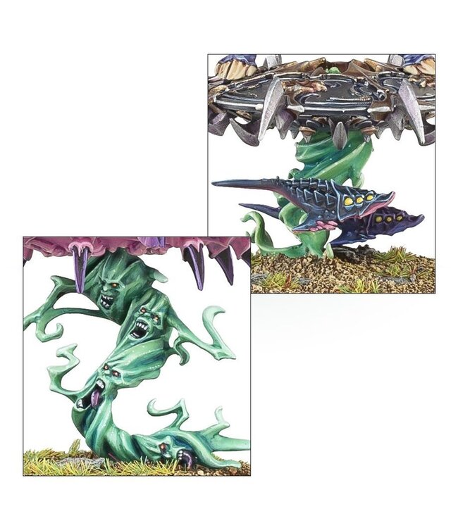 Age of Sigmar - Disciples of Tzeentch: Tzaangor Enlightened