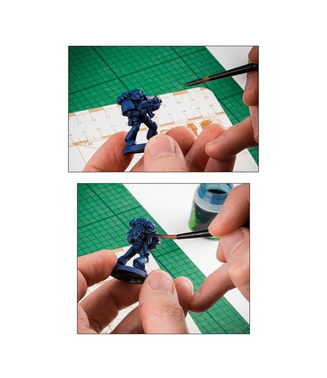 Citadel: Medium Shade Brush