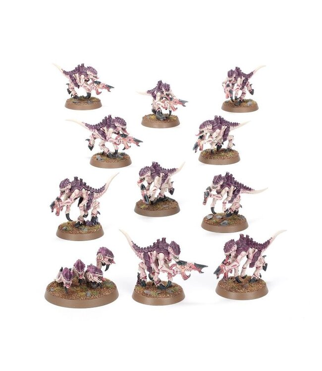 Warhammer 40,000: Introductory Set