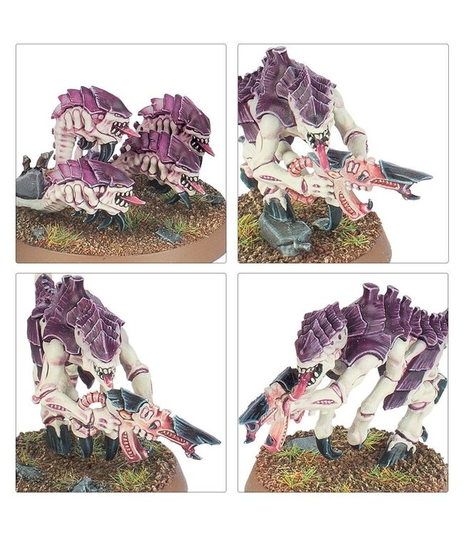 Warhammer 40,000: Introductory Set