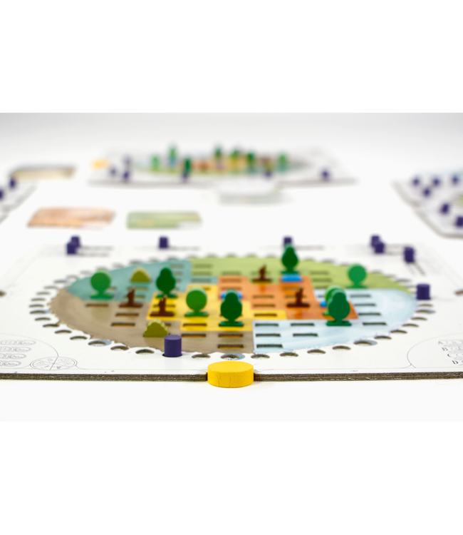 Evergreen (NL) - Bordspel