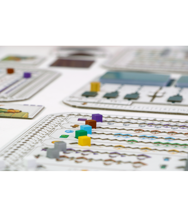 The Great Split (NL) - Bordspel