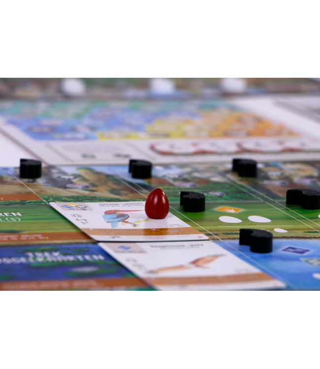 Wingspan: Azië (NL) - Board game